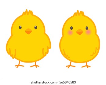 Little chick isolate on white background : Vector Illustration