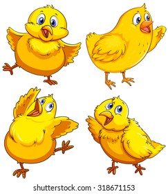 Little chick looking happy illustration