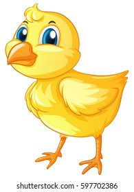 Little chick on white background illustration