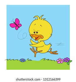 Little chick is running after the butterfly.