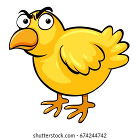 Little chick with serious face illustration