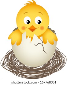 Little Chicken