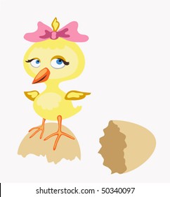 Little chicken