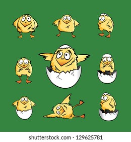 little chicken and broken egg