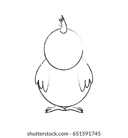 Little chicken cartoon