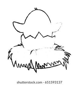 Little chicken cartoon