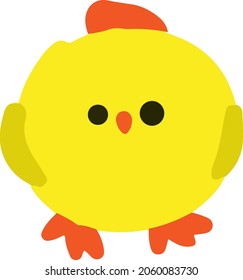 Little chicken in color on a white background