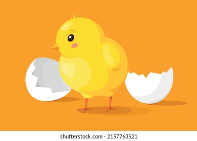 Little chicken with cracked egg shell on orange background