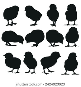 Little chicken cute silhouette collection 