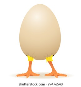 Little chicken in egg, illustration