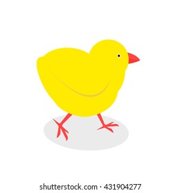 Little chicken isolated on white background. Vector illustration