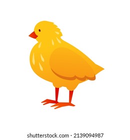 Little chicken - modern flat design single isolated object. Neat detailed image of yellow chick. Suitable for farming, country life, animal care, raising offspring. Christianity, Easter holiday idea