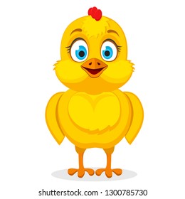 Little chicken smiling, standing on a white.