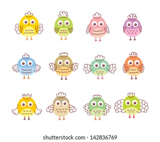 little chicken vector