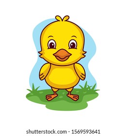 Little chicken vector cartoon illustration