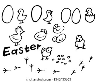 Little chickens, hatching chicken and eggs. Decor for the holiday of Easter. Black and white graphics