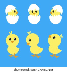 little chicks in the egg and out of the egg