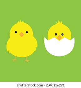 Little chicks hatch from eggs. Vector illustration image.