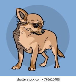 Little Chihuahua Dog. Illustration