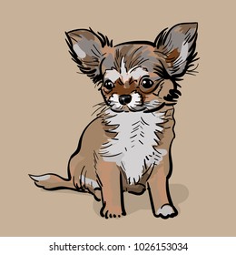 Little Chihuahua Dog. Puppy The afflicted chihuahua dog turned and waited. Illustration