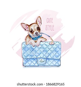 Watercolors Dogs Hipster High Res Stock Images | Shutterstock