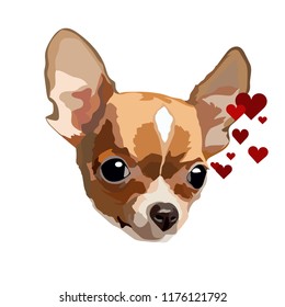 little chihuahua vector