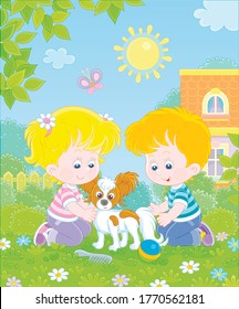 Little children brushing their cheerful small Papillon puppy for a walk on a sunny summer day, vector cartoon illustration