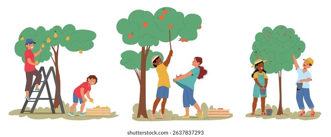 Little children characters plucking ripe pear, apricot, cherry fruits from tree isolated cartoon scene. Kids collecting orchard garden harvest vector illustration. Organic gardening and agriculture