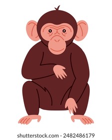 little chimpanzee cartoon animal isolated