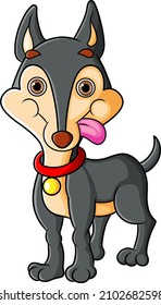 The little cihuahua is posing with the cute face of illustration