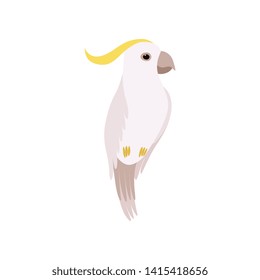 Little Cockatoo Bird, Cute Birdie Home Pet Vector Illustration