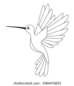 Little colibri small bird for coloring book monochrome isolated icon. Vector illustration.