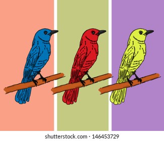 little colored bird sitting on a branch
