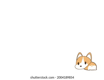 A little corgi dog laying down for decorating on white background for background and texture concept 