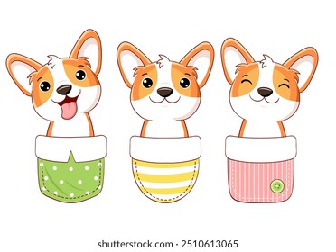 Little corgi puppy in pocket. Baby collection of cute pets in pockets. Collection of childish print with funny dogs. Can be used for t-shirt, stickers, greeting card design. Vector illustration EPS8