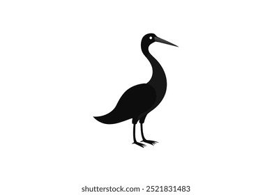 Little  Cormorant Bird vector art illustration