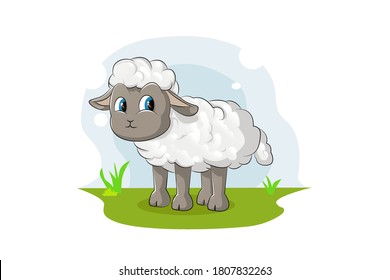 A little cute baby sheep on grass land and sky blue bckground, design animal cartoon vector illustration