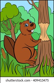 Little cute beaver stands near the tree.