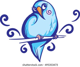 Little cute bird.