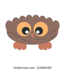 Little Cute Bird Owl with big eyes looking on his beak nose