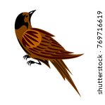 Little cute birdie