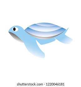 Little cute bluish turtle.