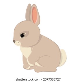 Little cute cartoon rabbit isolated on white background. Vector illustration