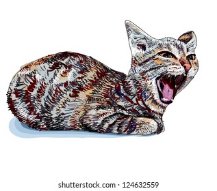 The little cute cat is yawning