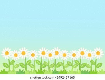 pequeño lindo campo de margarita con fondo de cielo azul estrellado, Ilustración vectorial