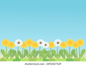 little cute dandelion field with starry blue sky background, vector illustration