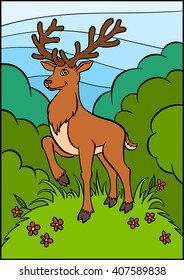 Little cute deer stands on the clearing in the forest.