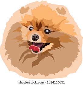 little cute dog breed spitz vector