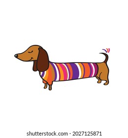 Little cute dog. Dachshund. Vector.