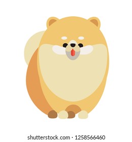 Little cute dog on a white background. Vector illustration of a friendly pomeranian spitz.